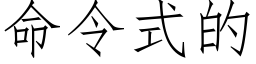 命令式的 (仿宋矢量字库)