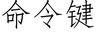 命令键 (仿宋矢量字库)