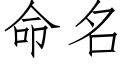 命名 (仿宋矢量字庫)