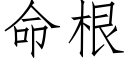 命根 (仿宋矢量字库)