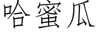 哈蜜瓜 (仿宋矢量字库)