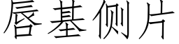 唇基側片 (仿宋矢量字庫)