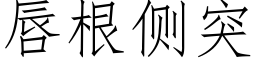 唇根側突 (仿宋矢量字庫)