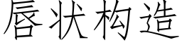 唇状构造 (仿宋矢量字库)