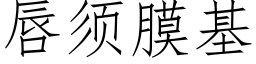 唇须膜基 (仿宋矢量字库)