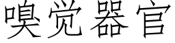 嗅觉器官 (仿宋矢量字库)