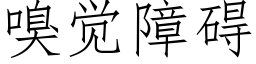 嗅觉障碍 (仿宋矢量字库)