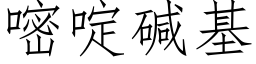 嘧啶堿基 (仿宋矢量字庫)