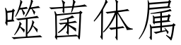 噬菌体属 (仿宋矢量字库)