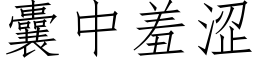 囊中羞澀 (仿宋矢量字庫)