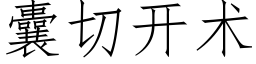 囊切開術 (仿宋矢量字庫)