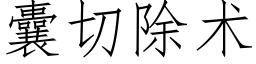 囊切除术 (仿宋矢量字库)