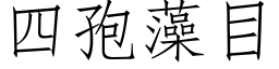 四孢藻目 (仿宋矢量字庫)