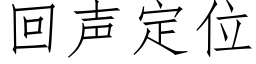 回声定位 (仿宋矢量字库)