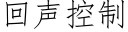 回聲控制 (仿宋矢量字庫)