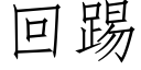 回踢 (仿宋矢量字库)