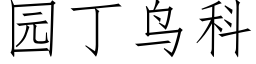 園丁鳥科 (仿宋矢量字庫)