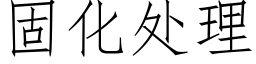 固化處理 (仿宋矢量字庫)