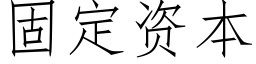 固定資本 (仿宋矢量字庫)