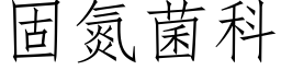 固氮菌科 (仿宋矢量字庫)