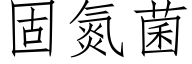 固氮菌 (仿宋矢量字庫)