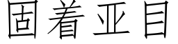 固着亚目 (仿宋矢量字库)