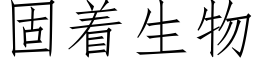 固着生物 (仿宋矢量字库)