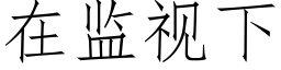 在監視下 (仿宋矢量字庫)