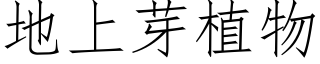 地上芽植物 (仿宋矢量字库)