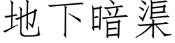 地下暗渠 (仿宋矢量字库)