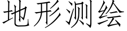 地形测绘 (仿宋矢量字库)