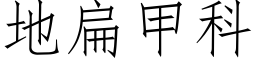 地扁甲科 (仿宋矢量字库)