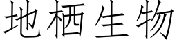 地栖生物 (仿宋矢量字库)