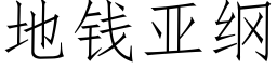 地钱亚纲 (仿宋矢量字库)