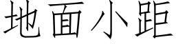 地面小距 (仿宋矢量字库)