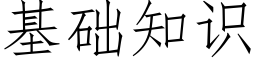 基礎知識 (仿宋矢量字庫)