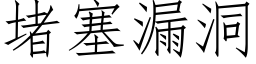 堵塞漏洞 (仿宋矢量字库)