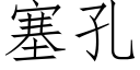 塞孔 (仿宋矢量字庫)