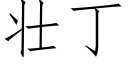 壮丁 (仿宋矢量字库)