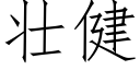 壮健 (仿宋矢量字库)