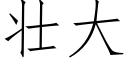 壮大 (仿宋矢量字库)