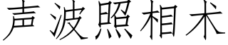 声波照相术 (仿宋矢量字库)