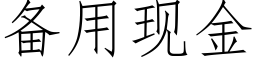 備用現金 (仿宋矢量字庫)