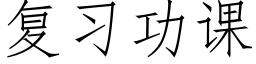 复习功课 (仿宋矢量字库)