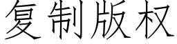 複制版權 (仿宋矢量字庫)