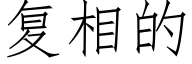 複相的 (仿宋矢量字庫)