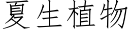 夏生植物 (仿宋矢量字库)