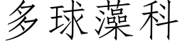 多球藻科 (仿宋矢量字库)