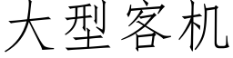 大型客機 (仿宋矢量字庫)