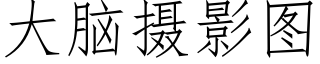 大脑摄影图 (仿宋矢量字库)